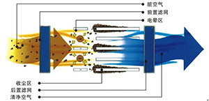 净化原理